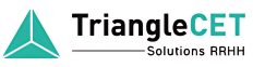 Logotipo de Triangle Serveis Auxiliars