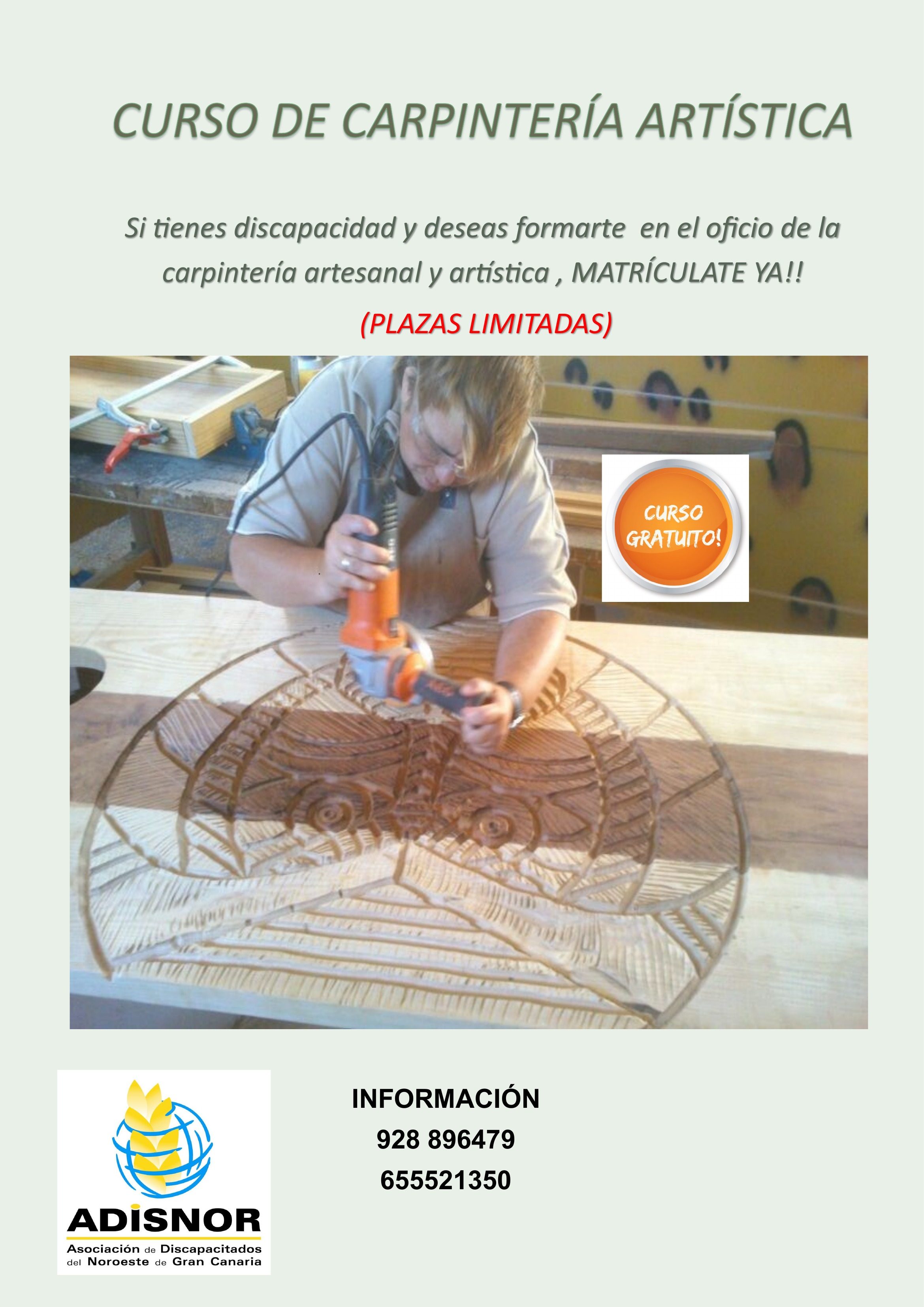 Cartel de la formación de Auxiliar de Carpintería Artesanal y Artística de ADISNOR.
